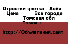 Отростки цветка  “Хойя“ › Цена ­ 300 - Все города  »    . Томская обл.,Томск г.